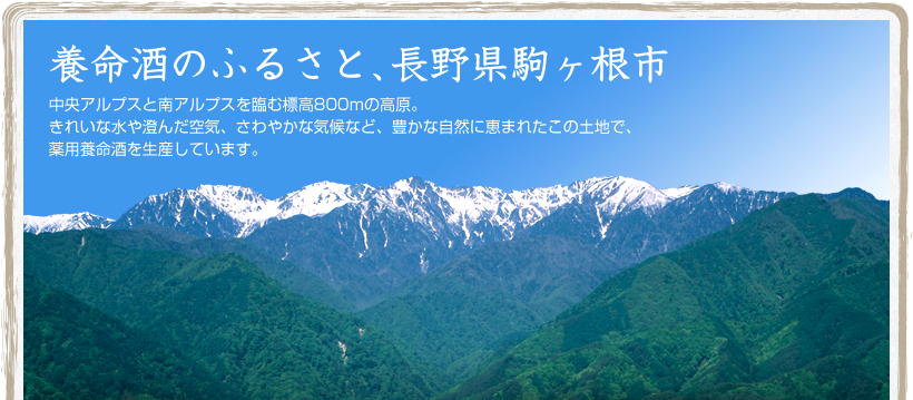 養命酒のふるさと、長野県駒ヶ根市:中央アルプスと南アルプスを臨む標高800mの高原。きれいな水や澄んだ空気、さわやかな気候など、豊かな自然に恵まれたこの土地で、薬用養命酒を生産しています。