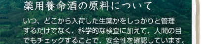 薬用養命酒の原料について:いつ、どこから入荷した生薬かをしっかりと管理するだけでなく、科学的な検査に加えて、人間の目でもチェックすることで、安全性を確認しています。