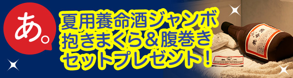 夏用養命酒 ジャンボ抱きまくら＆腹巻きセットプレゼント