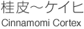 ケイヒ／Cinnamomi Cortex