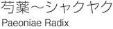 シャクヤク／Paeoniae Radix