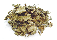 生薬百選 73 薄荷(ハッカ)