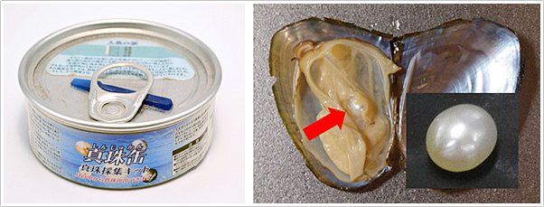 写真２．左：缶詰外観，　右：母貝と真珠