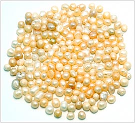 写真3．生薬用の中国産淡水真珠