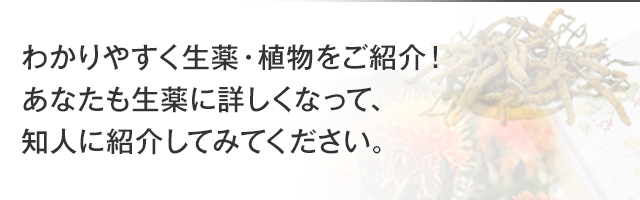 わかりやすく生薬・植物をご紹介!あなたも生薬に詳しくなって、知人に紹介してみてください。
