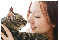 動物に癒される