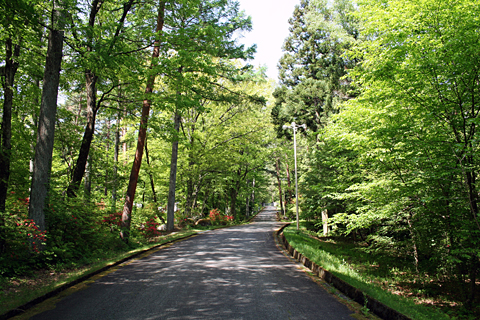 遊歩道