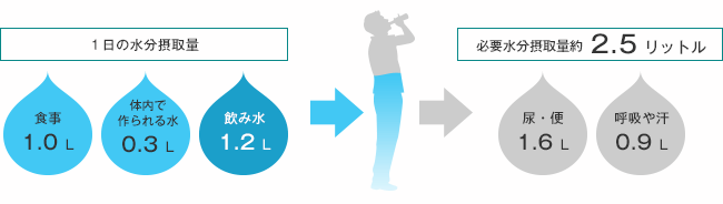 必要水分摂取量 約2.5リットル ー（体内生成0.3リットル＋食事の水分補給約１リットル）＝ 約1.2リットル／１日
