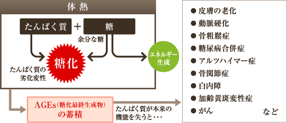 糖はこうして悪玉になる