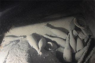 沈没船から見つかった約170年前のシャンパーニュ　写真提供：Visit Aland