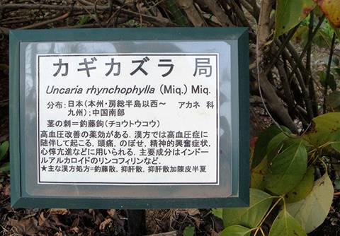 薬草園　表示