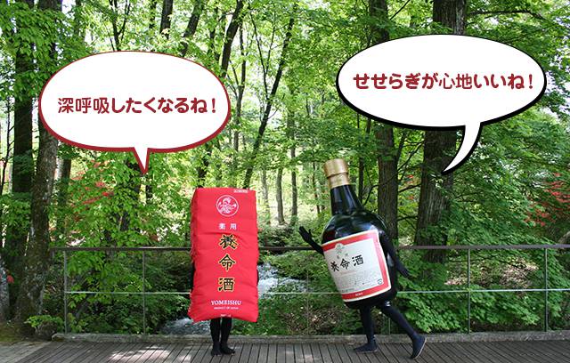 「養命酒健康の森」を散策