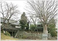 『風林火山』ゆかりの地 「高島城」