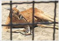 庶民のための憩いの場