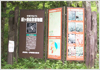 経ヶ岳自然植物園