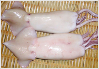 信州のもうひとつの特産 『塩いか』