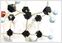 クスノキから香り成分を取り出す