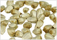 北欧の優れた食文化