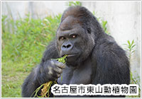 顔の雑学