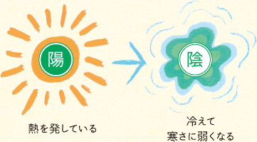 熱を発している 冷えて寒さに弱くなる