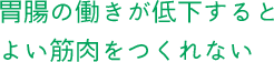 胃腸の働きが低下するとよい筋肉をつくれない