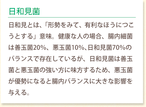 日和見菌 日和見とは、「形勢をみて、有利なほうにつこうとする」 意味。健康な人の場合、腸内細菌は善玉菌20％、 悪玉菌10％、日和見菌70％のバランスで存在しているが、 日和見菌は善玉菌と悪玉菌の強い方に味方するため、 悪玉菌が優勢になると腸内バランスに 大きな影響を与える。