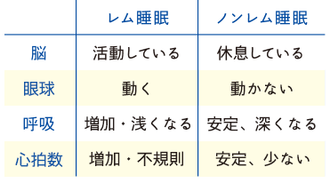 レム睡眠、ノンレム睡眠の表