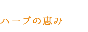 ハーブの恵み