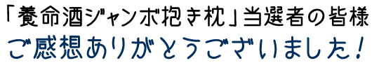 「養命酒ジャンボ抱き枕」 当選者の皆様ご感想ありがとうございました！