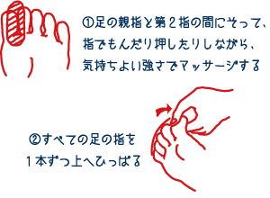 1.足の親指と第2指の間にそって、指でもんだり押したりしながら、気持ちよい強さでマッサージする／2.すべての足の指を1本ずつ上へひっぱる