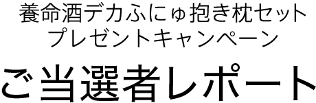 養命酒デカふにゅ抱き枕セットプレゼントキャンペーン ご当選者レポート