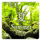 夏