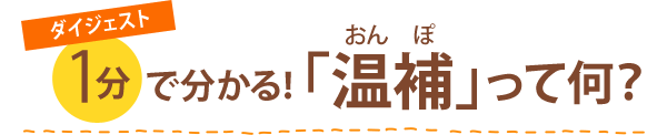 ダイジェスト 1分で分かる！「温補」って何？