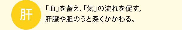 肝：「血」を蓄え、「気」の流れを促す。肝臓や胆のうと深くかかわる。