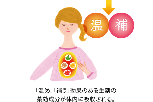 「温め」「補う」効果のある生薬の薬効成分が体内に吸収される。