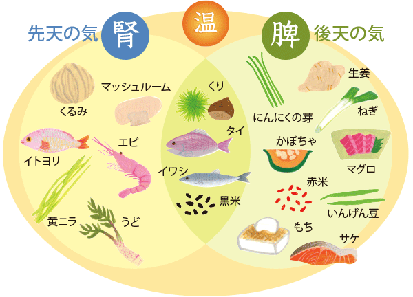 先天の気・腎／くるみ、マッシュルーム、イトヨリ、エビ、黄ニラ、うど／後天の気・脾／ にんにくの芽、生姜、かぼちゃ、ねぎ、赤米、もち、いんげん豆、マグロ、サケ／くり、タイ、イワシ、黒米