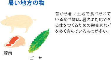 暑い地方の物
豚肉　ゴーヤ
昔から暑い土地で食べられている食べ物は、暑さに対応できる体をつくるための栄養素などを多く含んでいるものが多い。