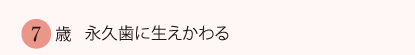 7歳　永久歯に生えかわる