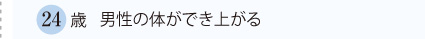 24歳　男性の体ができ上がる