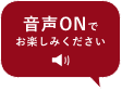 senei_on_icon