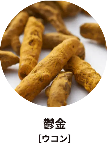 鬱金［ウコン］