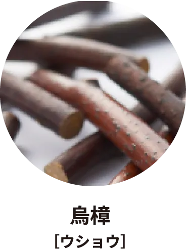 烏樟［ウショウ］