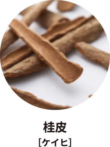 桂皮［ケイヒ］