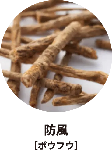 防風［ボウフウ］