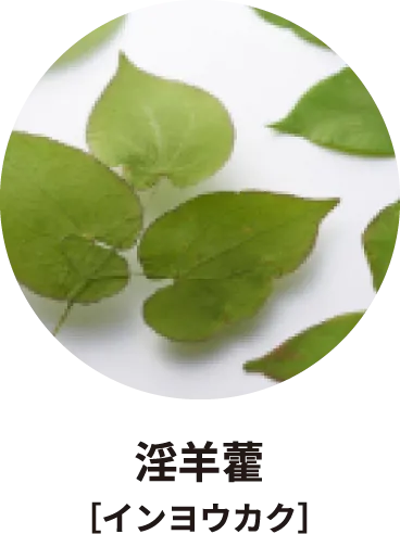 淫羊藿［インヨウカク］