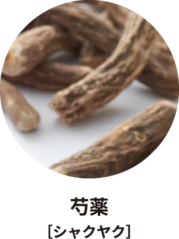 芍薬［シャクヤク］