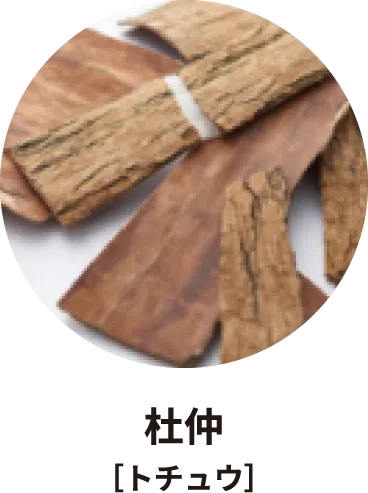 杜仲［トチュウ］