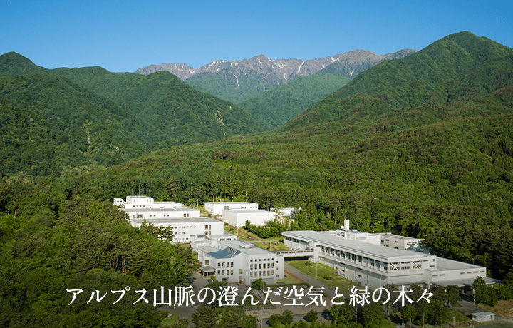 アルプス山脈の澄んだ空気と緑の木々